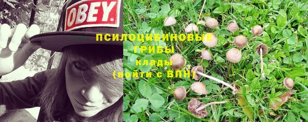 прущий лед Абдулино
