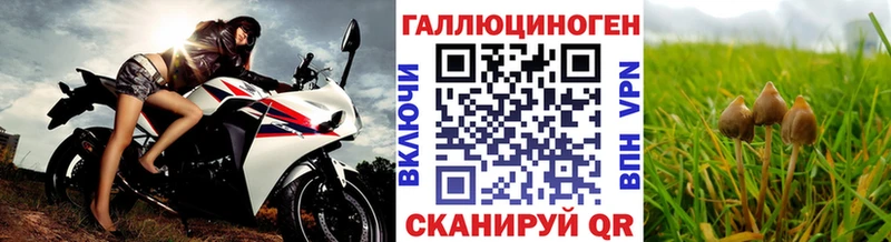 Галлюциногенные грибы GOLDEN TEACHER  цена   Агидель 